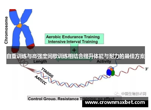 自重训练与高强度间歇训练相结合提升体能与耐力的最佳方案